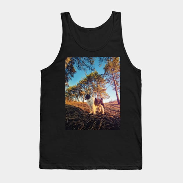 in the pine forest Tank Top by psychoshadow